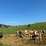 Alte Foersterei Im Harz - Urlaub Auf Dem Bauernhof * Harzgerode