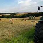 Alte Foersterei Im Harz - Urlaub Auf Dem Bauernhof Vakantiehuis