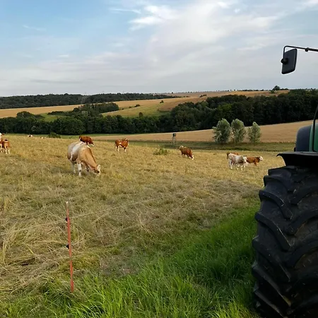 Alte Foersterei Im Harz - Urlaub Auf Dem Bauernhof Tatil Evi