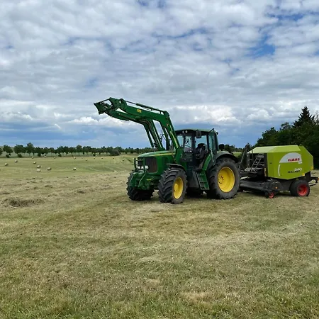 Alte Foersterei Im Harz - Urlaub Auf Dem Bauernhof Harzgerode
