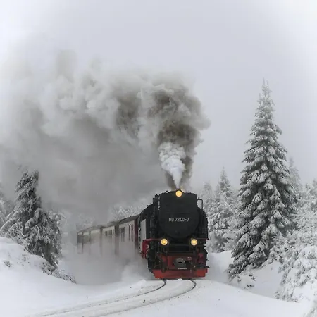 Alte Foersterei Im Harz - Urlaub Auf Dem Bauernhof Vakantiehuis *