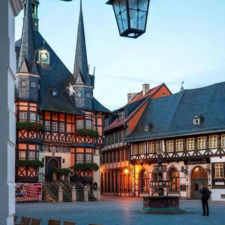 Alte Foersterei Im Harz - Urlaub Auf Dem Bauernhof 하르츠게로데