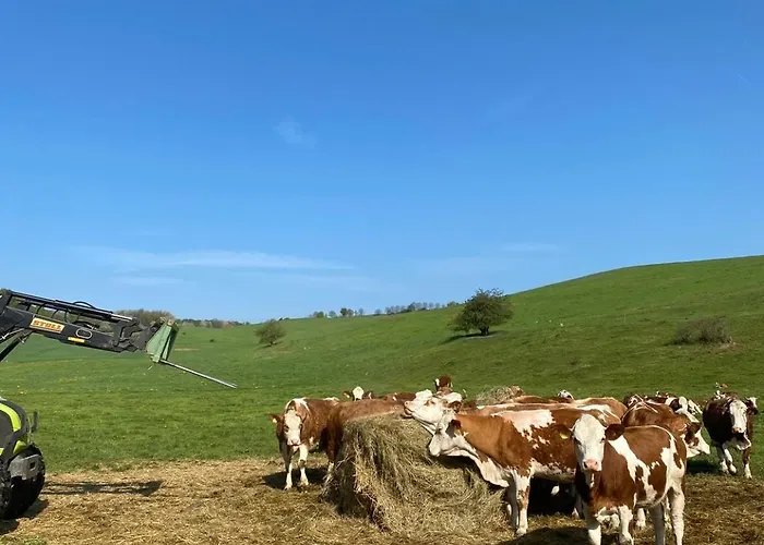 Alte Foersterei Im Harz - Urlaub Auf Dem Bauernhof * هارتسغروده