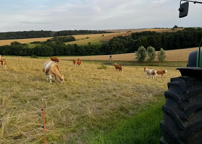 Alte Foersterei Im Harz - Urlaub Auf Dem Bauernhof بيت للعطل